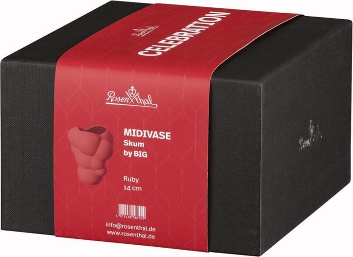 Actual product image Rosenthal Skum - Ruby - Vase 14 cm (1 x)