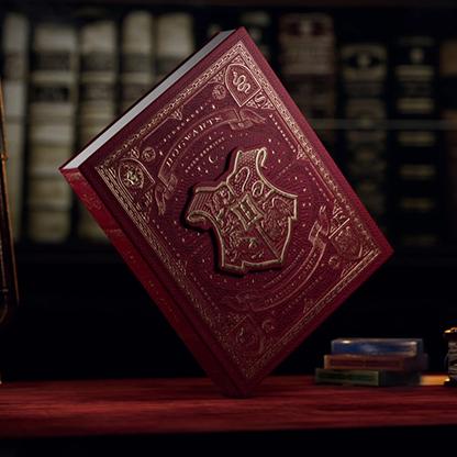 Productafbeelding Theory11 Harry Potter Doos Set (Engels)