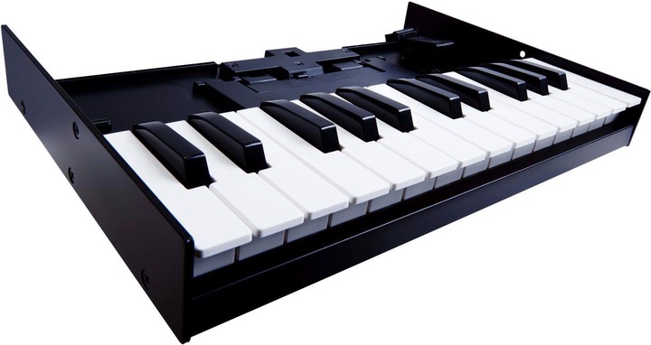 Image du produit Roland K-25m