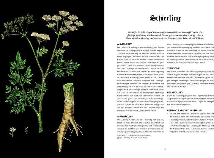 Produktbild Librero Gift (Deutsch, Ben Hubbard, 2020)