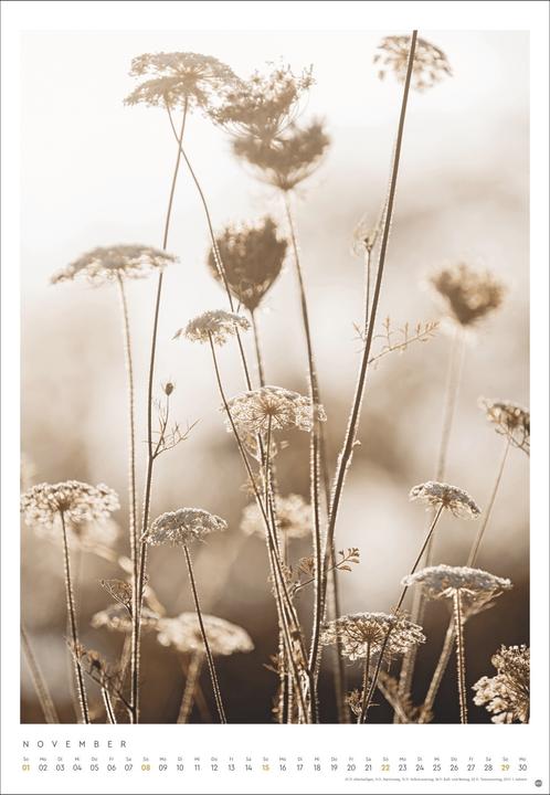 Actual product image Mareike Böhmer: pure & simple Kalender 2026 (Hardcover, German)