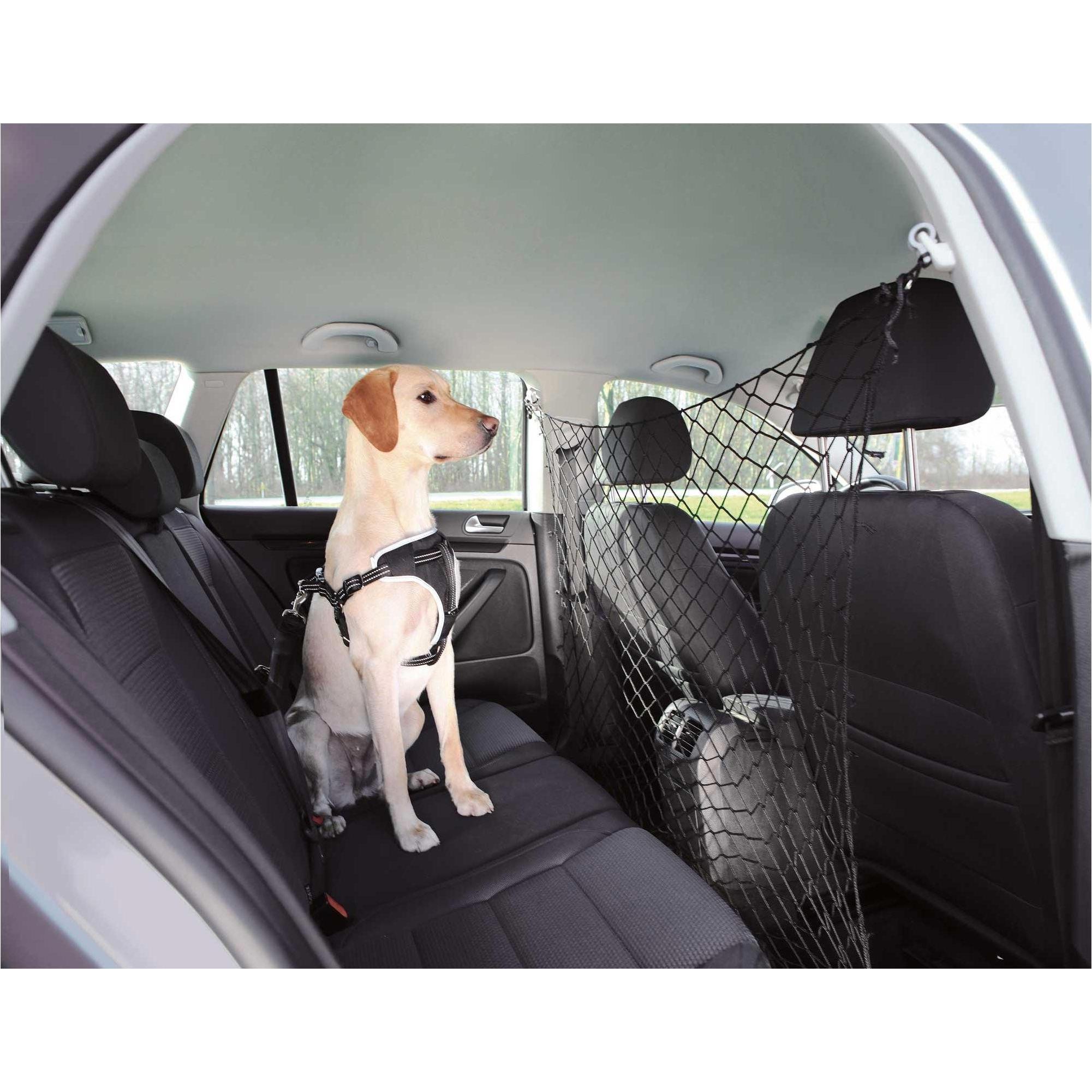 Filet de séparation voiture pour chien