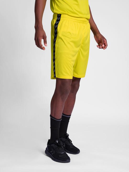 Image du produit hummel Hmlauthentic Pl Shorts (3XL)