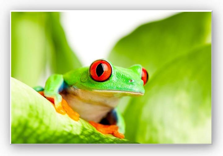 Immagine prodotto Trenddeko saltare cracker (100 x 70 cm)