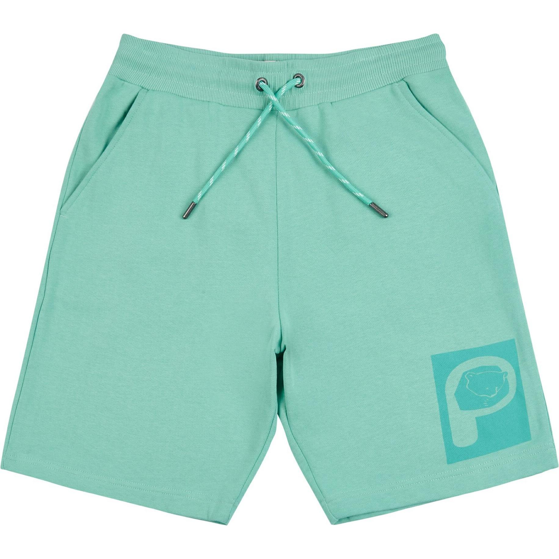 Penfield, Herren, Shorts, shorts penfied arge p bear graphic ogo, Türkis, (L)