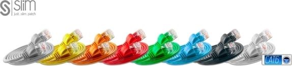 Image du produit Wirewin Câble de réseau (U/UTP, CAT6, 1 m)