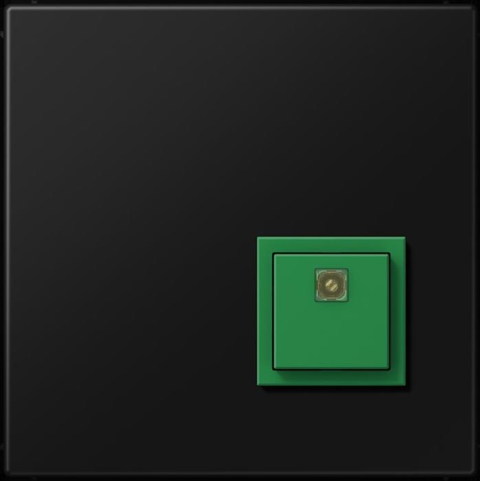 Actual product image JUNG Switch-off button