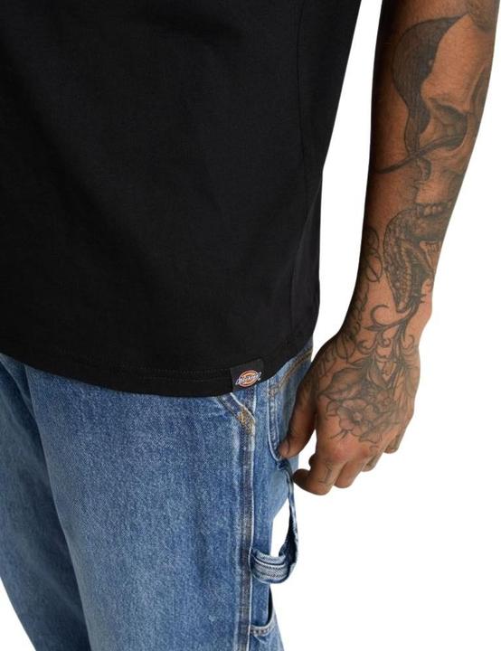 Produktbild Dickies Bolivar Tee SS (S)