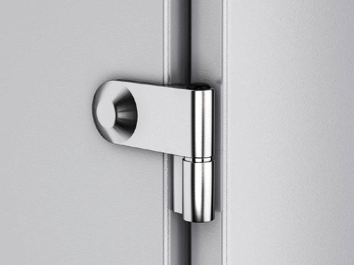 Actual product image Rittal Hinges for side wall screwable