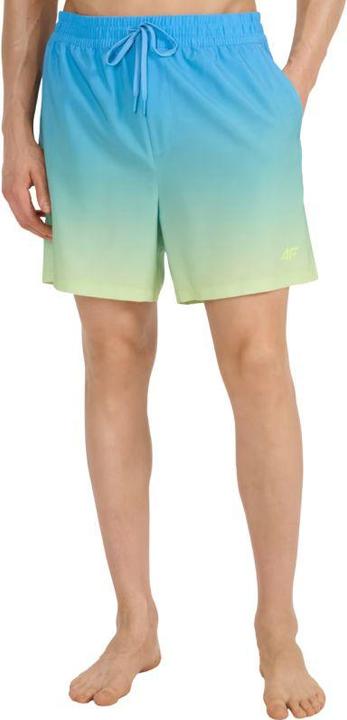 Image du produit 4F Herren-Badeshorts (M)
