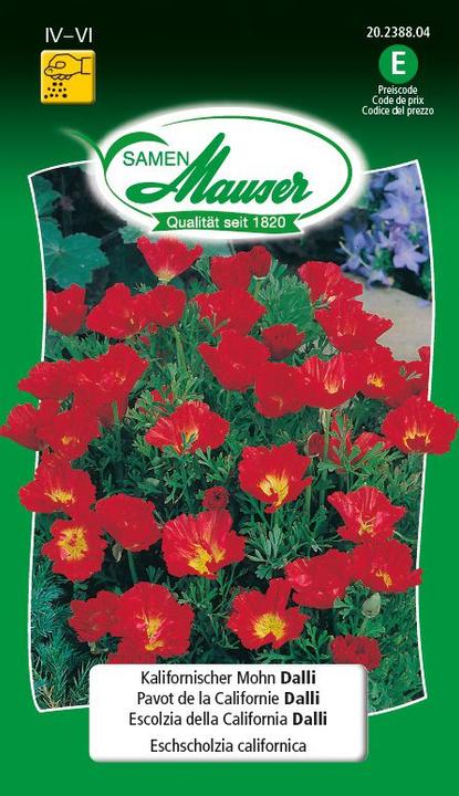 Produktbild Samen Mauser Kalifornischer Mohn Dalli (Blumensamen)