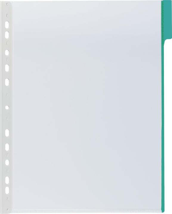 Image du produit Durable Tableau de présentation FUNCTION Utilisation pour format papier : DIN A4 Matériau : PVC rigide (A4)