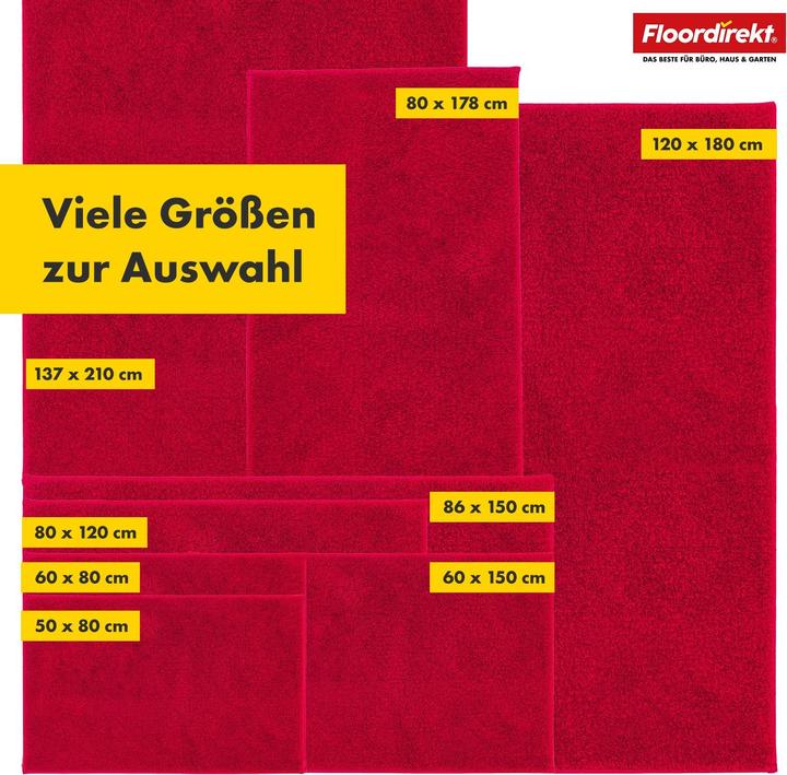 Produktbild Floordirekt Schmutzfangmatte Nasa (86 x 150 cm)
