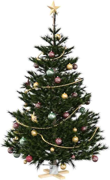 Actual product image vidaXL Weihnachtsständer