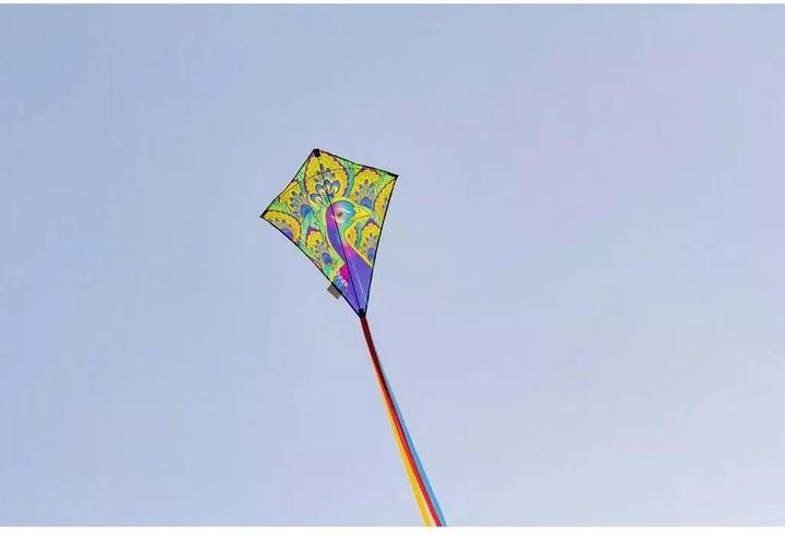 Actual product image Invento Kite Eddy Peacock 70x45 cm, from 5 years, incl. handle with 25 m cord