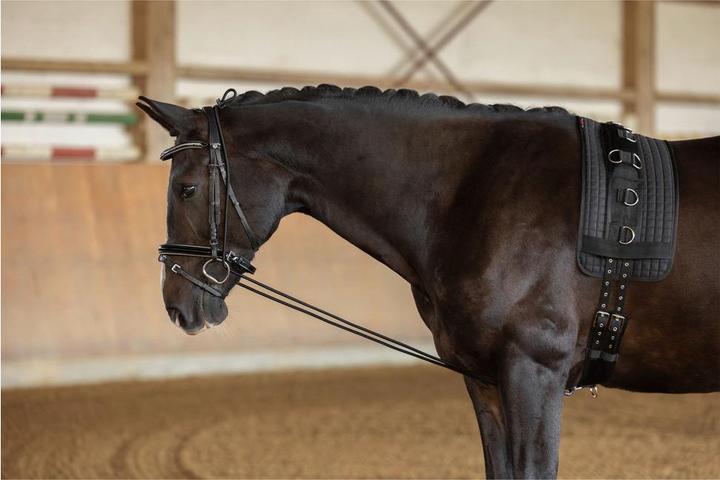 Actual product image Kerbl Neck extender