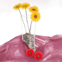 Produktbild Walimex leichter Stoffhintergrund (300 cm, 600 cm)