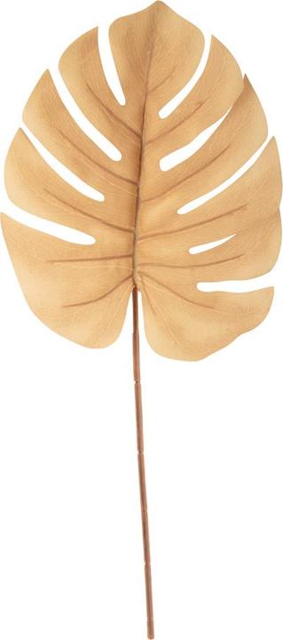 Actual product image present time Monstera Stem (61 cm)