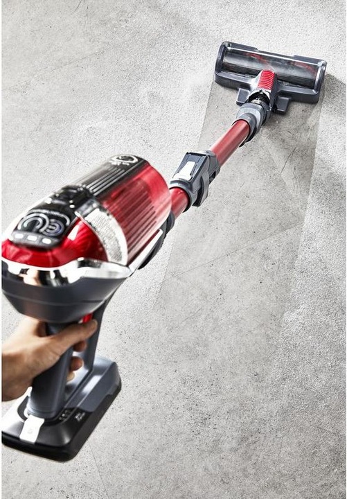 Produktbild Rowenta X-Force Flex 11.60 Animal