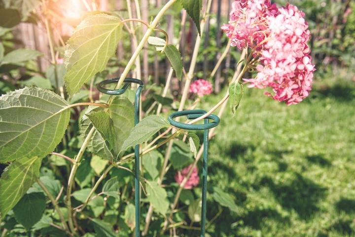 Actual product image Windhager Flower support (7 cm, 7 cm)