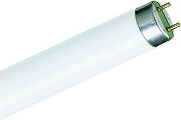 Immagine prodotto Philips Master TL-D Super (G13, 36.60 W, 3100 lm, 1 x, G)