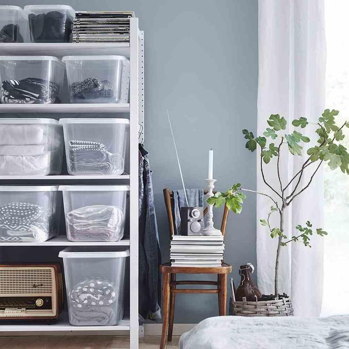 Actual product image Orthex BasicBox SmartStore Basic made of PP in colour transparent, 58x39x40 cm capacity: 60 l, Basic XL (39 cm, 60 l, 1x)