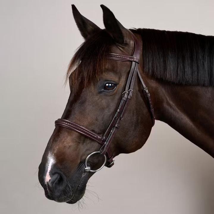 Image du produit Dy'on New English