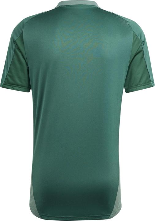Actual product image adidas TIRO24 C TR JSY (M)