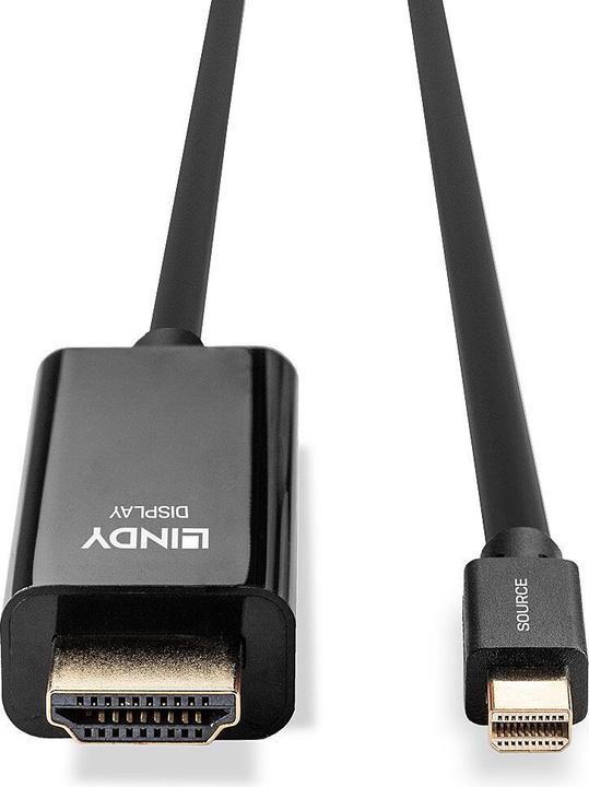 Actual product image Lindy Mini DisplayPort (2 m, DisplayPort, HDMI)