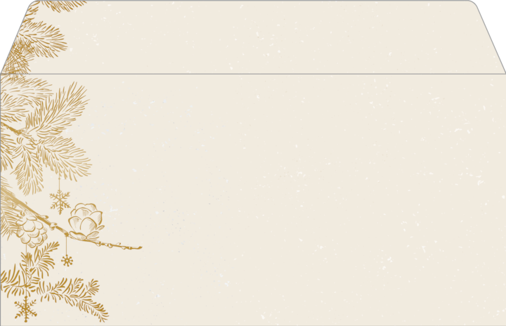 Actual product image Sigel Christmas envelopes (11 x 22 cm, 50 x)