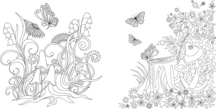 Produktbild Faszinierende Pilze