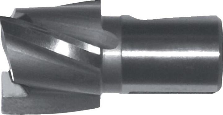 Produktbild Magni Zapfensenker HSS Gr.2 31mm GFS (31 mm)