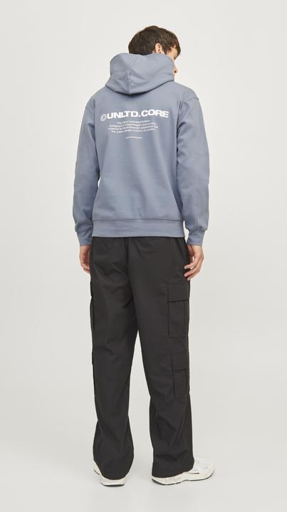 Image du produit Jack & Jones Jcoaero Print Sweat Hood Noos (S)