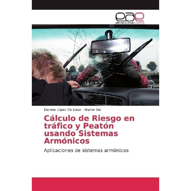 Cálculo de Riesgo en tráfico y Peatón usando Sistemas Armónicos, Ratgeber von Daniela López De Luise, Walter Bel