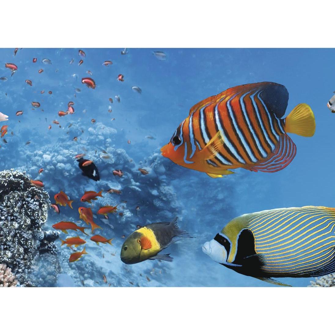 Thumbnail - Hama Profi Line (37 mm, Polarisationsfilter, 37 mm), Objektivfilter, Schwarz