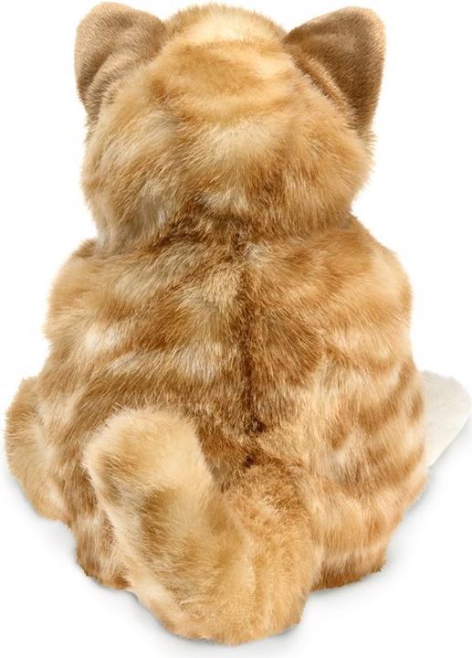 Actual product image Folkmanis Kitten