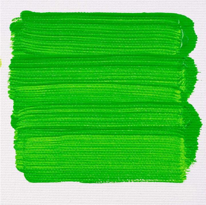 Actual product image Royal Talens Acrylic paint ArtCreation, permanent green light,75ml (75 ml)