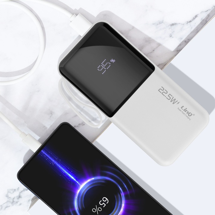 Actual product image LinQ 10,000mAh power bank + Lightning / USB-C cable (10000 mAh)