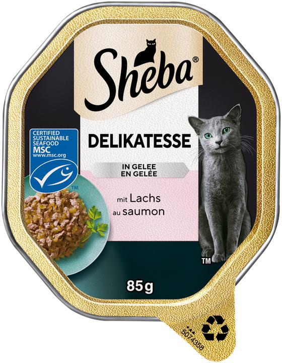 Immagine prodotto Sheba Classica ciotola di paté di salmone MSC (Adulto, 22 pz., 1870 g)