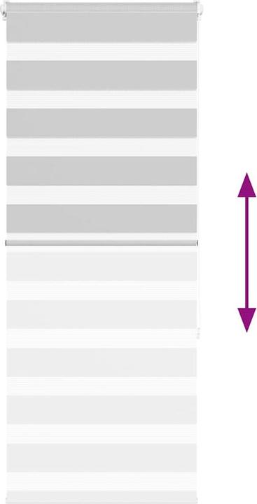 Produktbild vidaXL Zebra-Jalousie (55 x 150 cm)