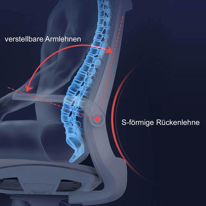 Produktbild Sihoo Bürostuhl mit Lendenwirbelstütze