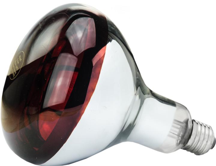 Image du produit Philips 22315 Lampe en verre trempé (150 W)