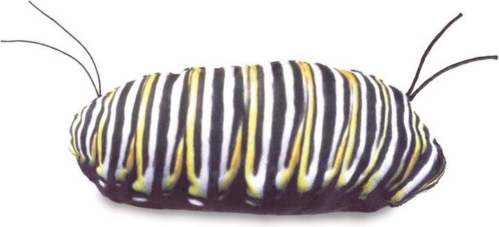 Produktbild Folkmanis Metamorphose Schmetterling