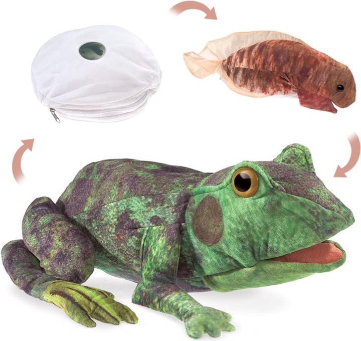 Produktbild Folkmanis Metamorphose Frosch