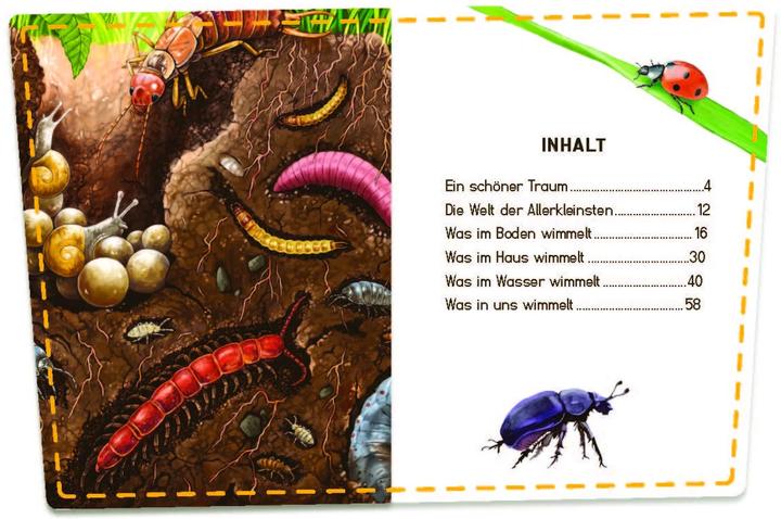 Produktbild Unsichtbare Tiere (Deutsch, Dencker Isabel, Sanna Wandtke, 2023)