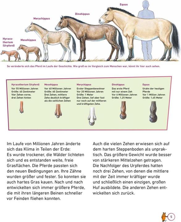 Actual product image Frag doch mal... die Maus: Pferde (German, Daniela nose, Hauke Kock, 2023)