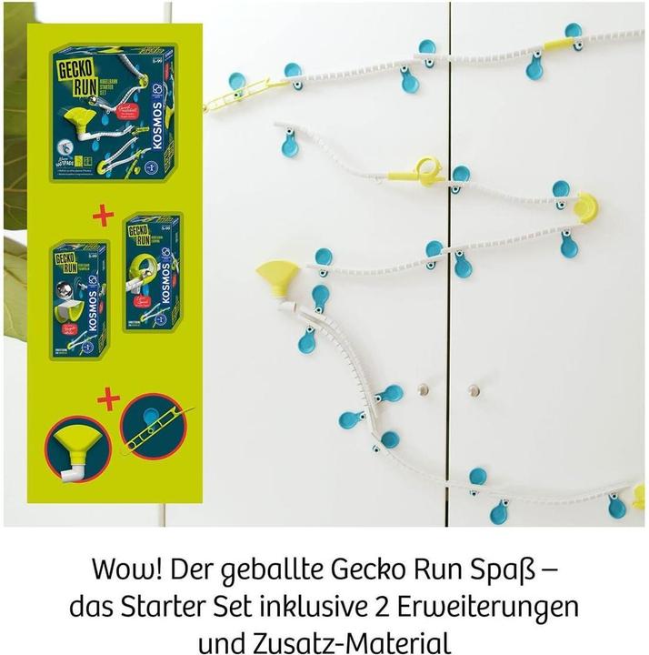 Productafbeelding Kosmos Gekko Ren, Grote Doos