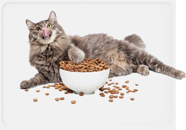 Actual product image Hermex Feeding Bowl Mat Silicone Floor Protector Feeding Pad White