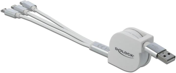 Image du produit Delock Câble adaptateur USB 3.0 (0.98 m, USB 2.0)