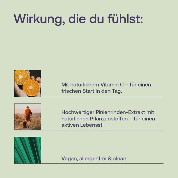 Actual product image Effective Nature Pycnogenol - Pinienrindenextrakt (60 pcs., Capsules)